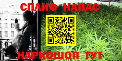 скорость Бийск