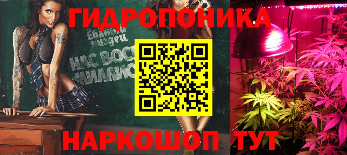 Конопля ГИДРОПОН Зеленогорск